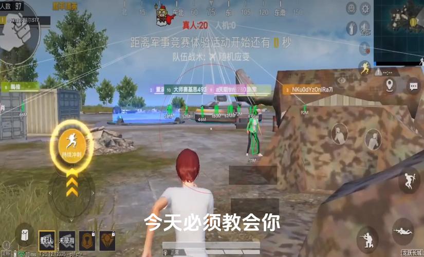 和平精英《敖光》辅助